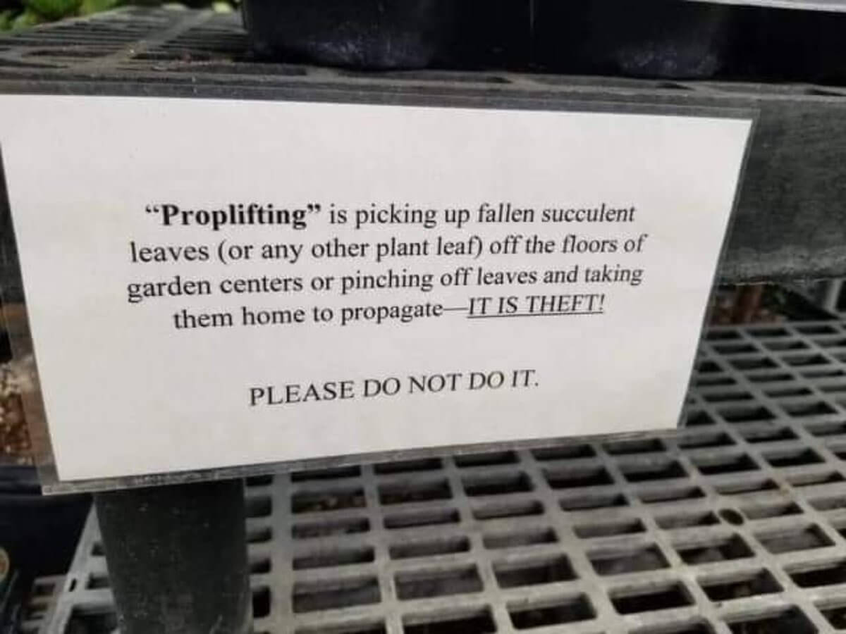 “Recession-proof” Iced Tea