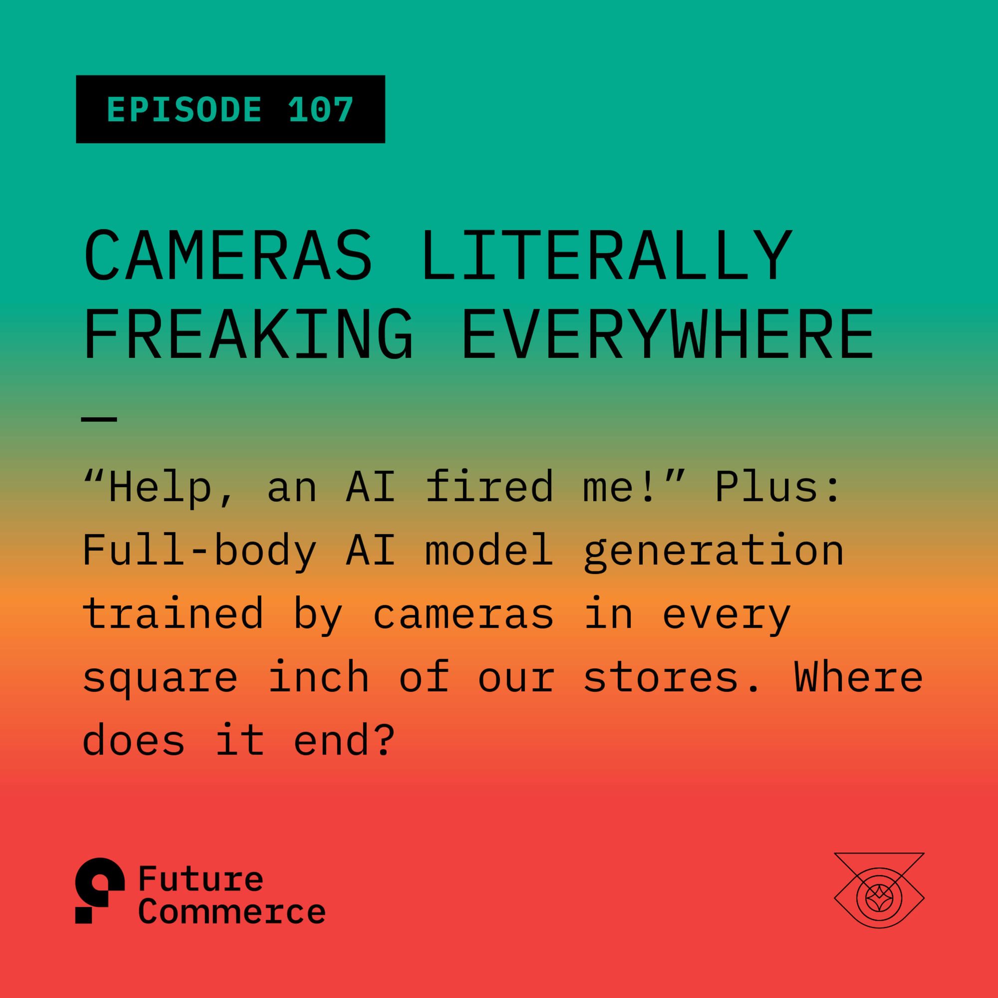 Cameras Literally Freaking Everywhere: Privacy in Exchange for Convenience