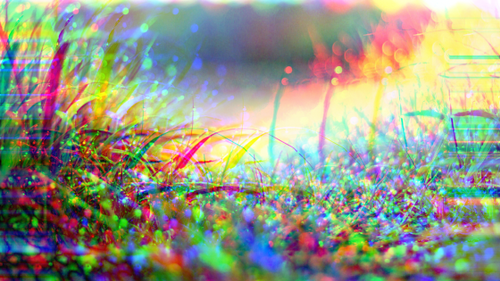 #087: A Sonnet: A Brand’s New Infatuation Dissipates Like Early Dew