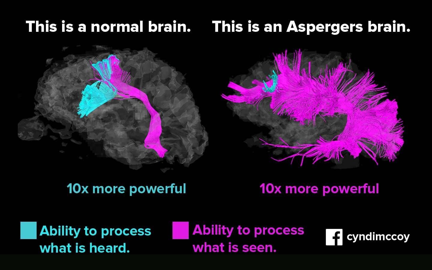 A purple and blue brainAI-generated content may be incorrect.